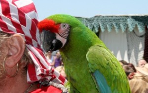 Eastport Pirate Festival